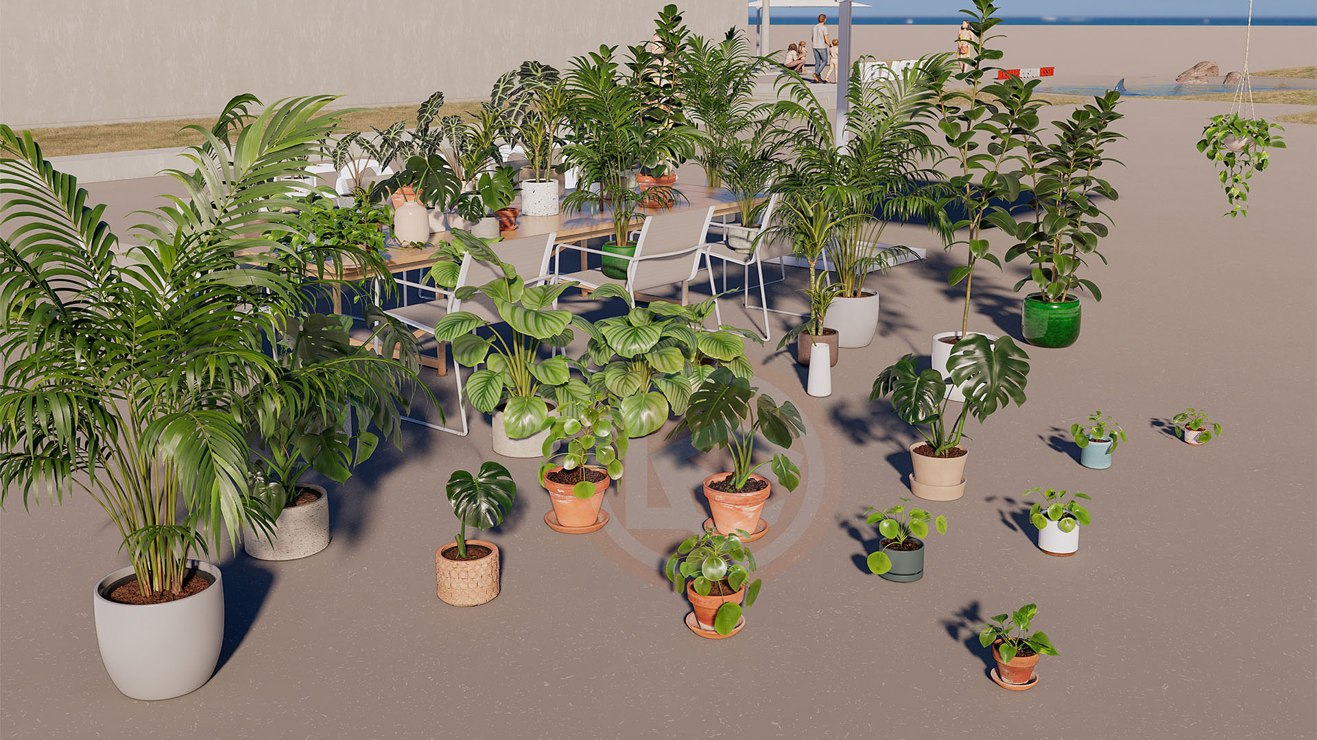 CÂY NỘI THẤT VOL 1